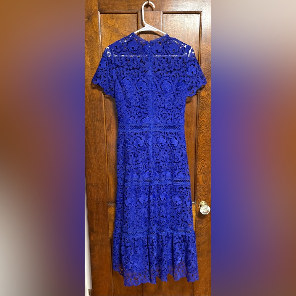 Royal Blue Lace Fit & Flare Dress